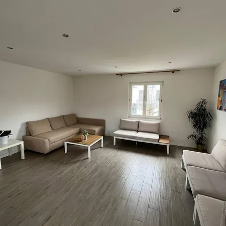 House Near Epfl/unil/renens Gare/lausanne Villa