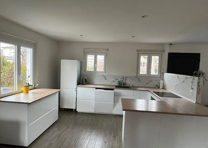 House Near Epfl/unil/renens Gare/lausanne Vila