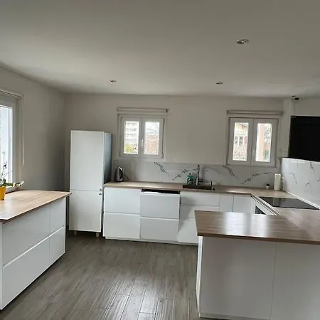 House Near Epfl/unil/renens Gare/lausanne 别墅